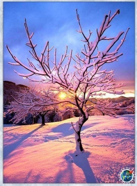 aa a pacoo ppo, a  ye caoc yoo - 2