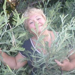 ������, ��������, 64 ����