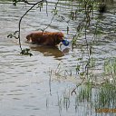 ����������� ���� +10*�, �� ������ ������� ����� �������... �� ������� ������ � ������ ������...�