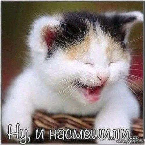 Этот удивительный русский язык: выражения "****** нужен" и "****** не нужен" ...