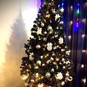 ���� ������, �����-���������, 57 ��� - ��������� 11 ������ 2022 � ������ ���� ����������