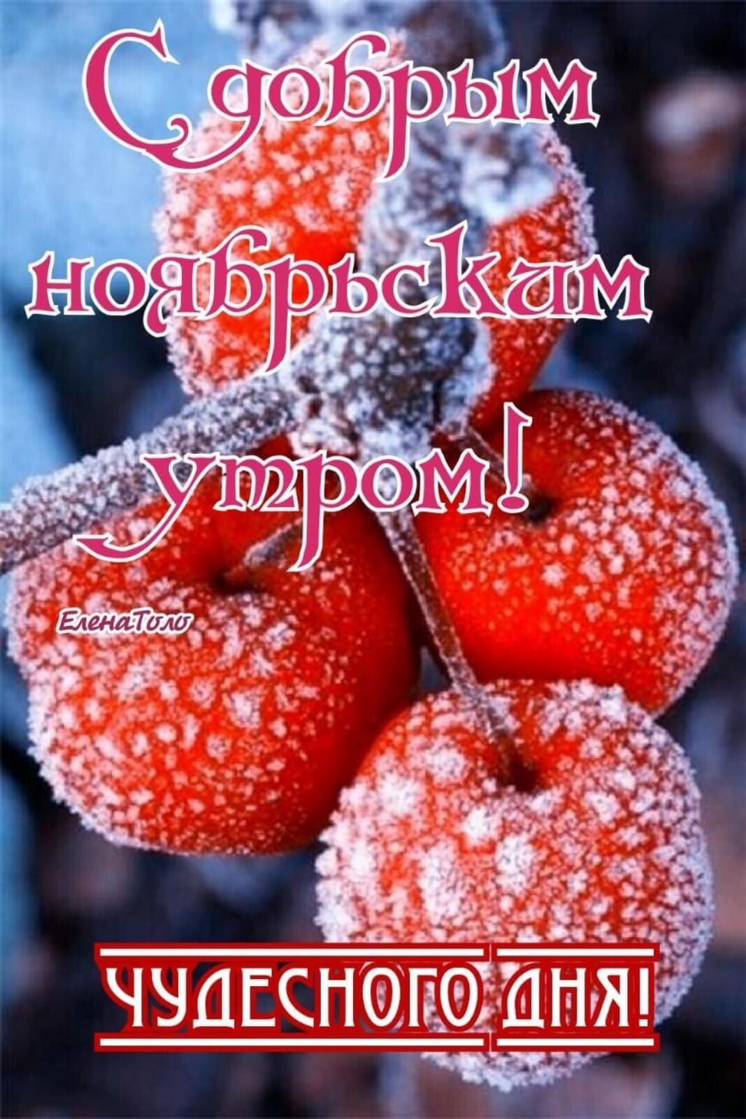 ***Victoria Viktorovna*** - 17  2021  09:25