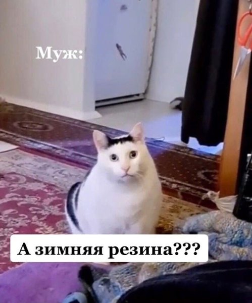        ? - 3