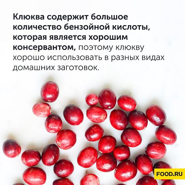 #�������_�����@foodrumedia
