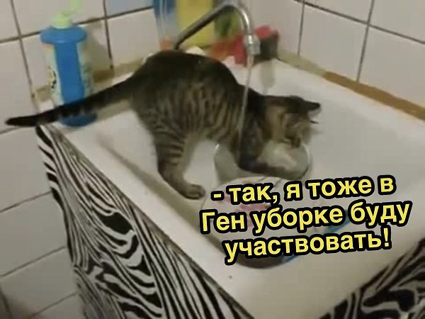   - 18  2021  17:42