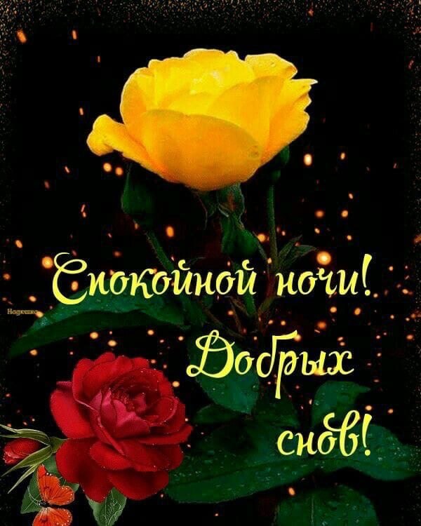   ,    . - 24  2021  21:56 - 7