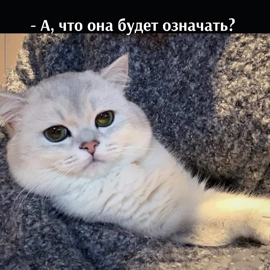      - 31  2021  10:23 - 4