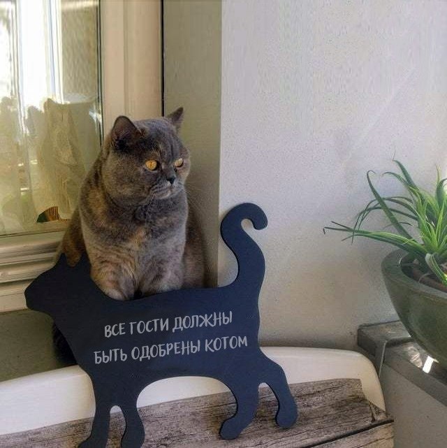       QR-: