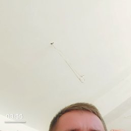 ���� ����, �������, 42 ���� - ��������� 24 ���� 2021