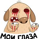 ���� ����, ����, 46 ��� - ��������� 4 ������ 2022 � ������ ���� ����������