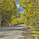 ���� ���������, ����������� - ��������� 21 �������� 2021 � ������ ���� ����������