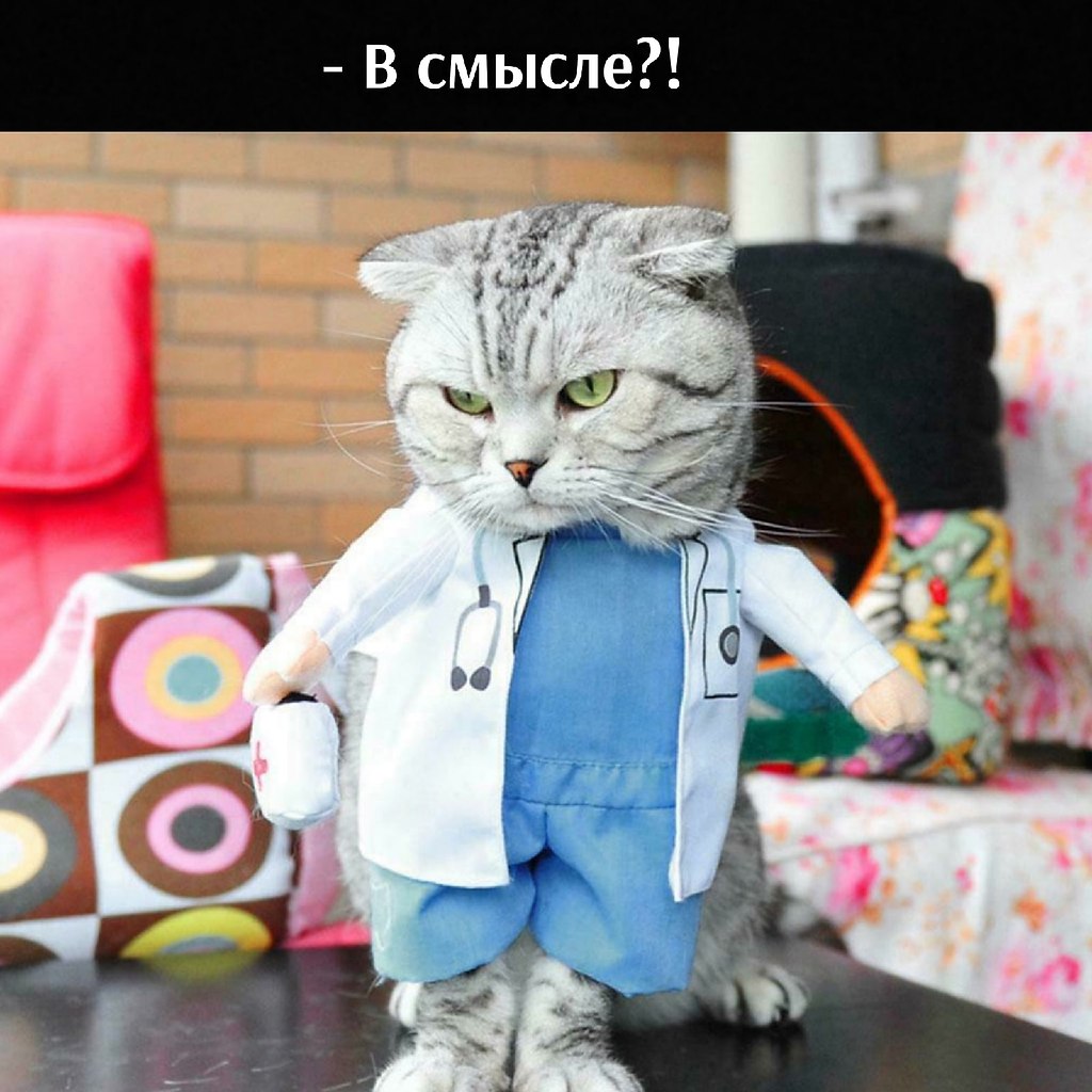       - 19  2021  18:36 - 2