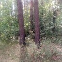 ���� Haver Santa, ���������� ����� - ��������� 28 ���� 2021 � ������ �:)�