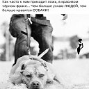 ���� "�����"))), ������ ���� - ��������� 23 ������ 2021 � ������ ������ ��������
