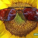 ���� ���������, ���������, 43 ���� - ��������� 24 ���� 2021 � ������ ���� ����������