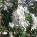 ���� ������, ����, 30 ��� - ��������� 17 ��� 2021 � ������ ���� ����������