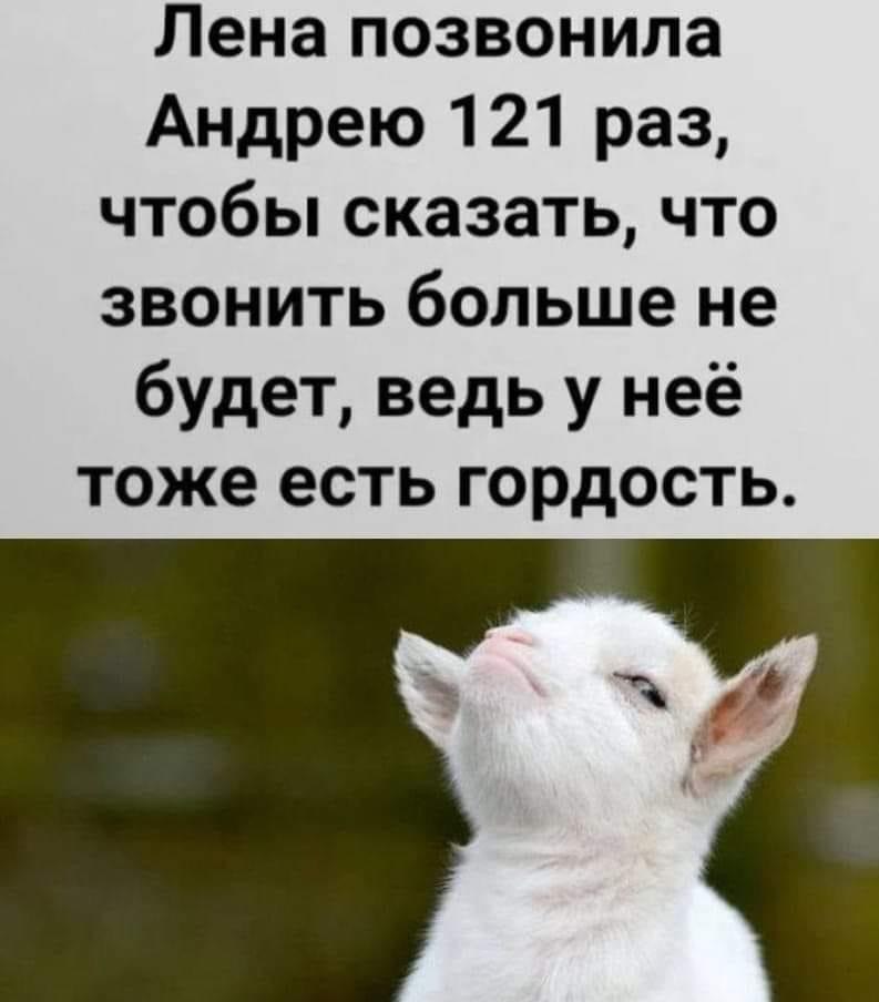   ! - 26  2021  11:29