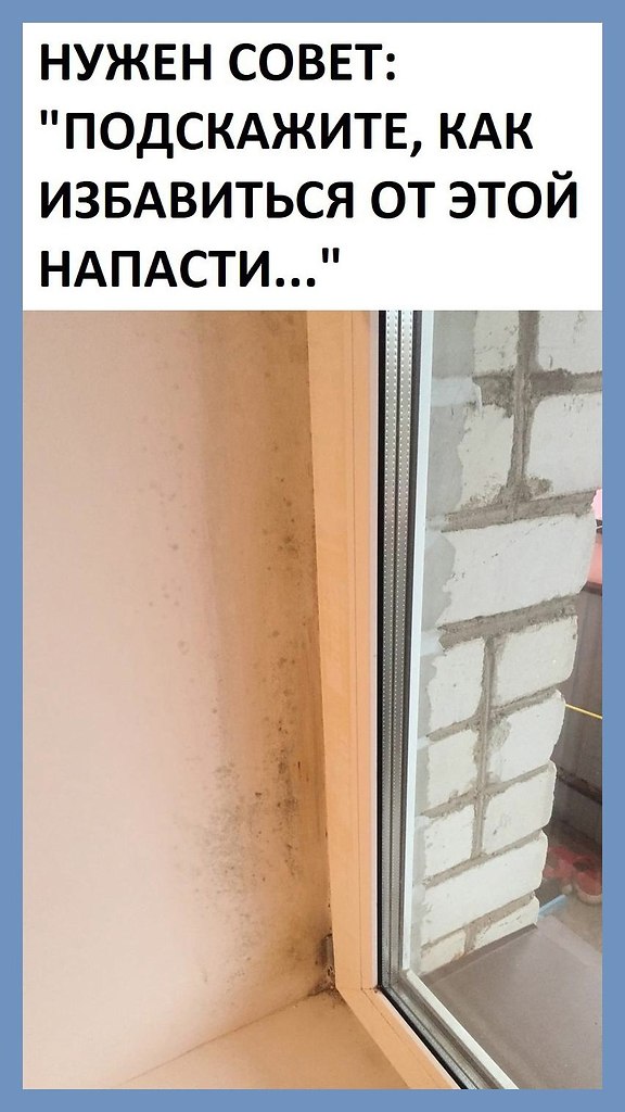    .      . ,  ...