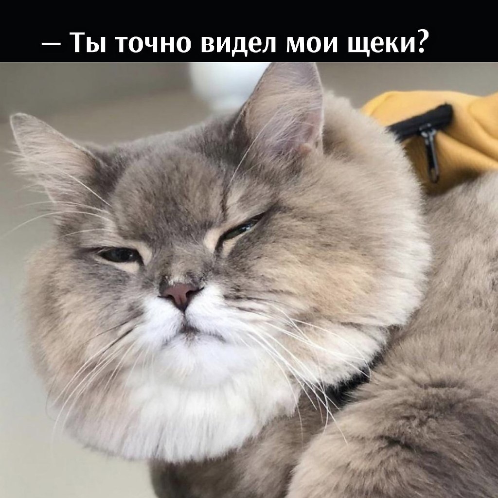       - 13  2021  16:17 - 2