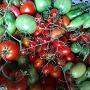  Psixeya, , 37  -  1  2021    