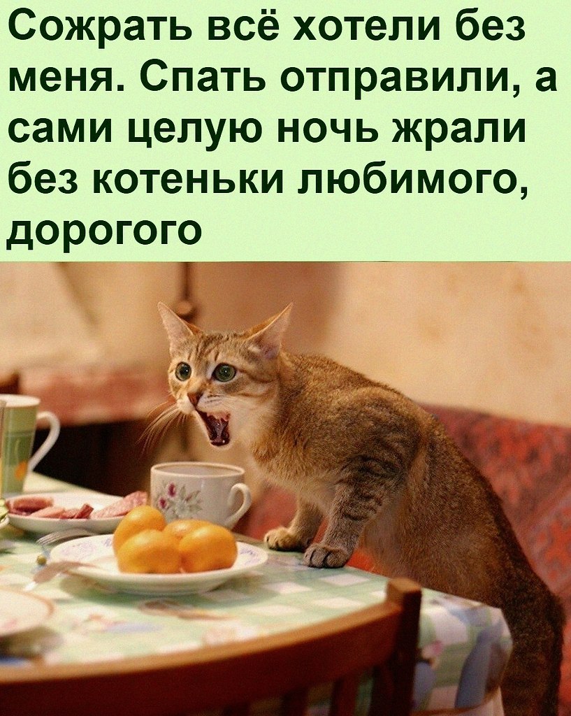   :D - 1  2022  10:27