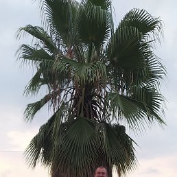 �����, ������, 46 ���