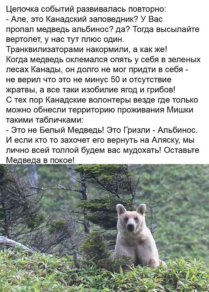  , ,   ... ,    !  - 4