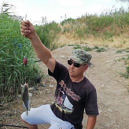 �������, ���������, 41 ���