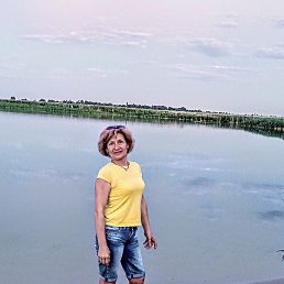 ������, ���������, 56 ���