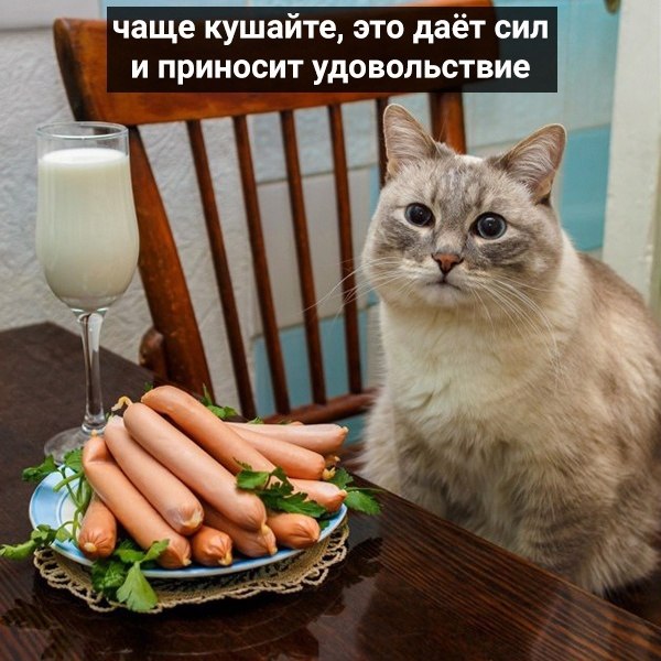    .   