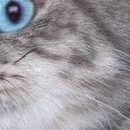 ������, ���������, 22 ����