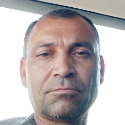 Mansur, , 47 