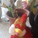 ���� ����, �������, 41 ��� - ��������� 2 ���� 2022 � ������ ���� ����������