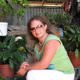 , 54, 