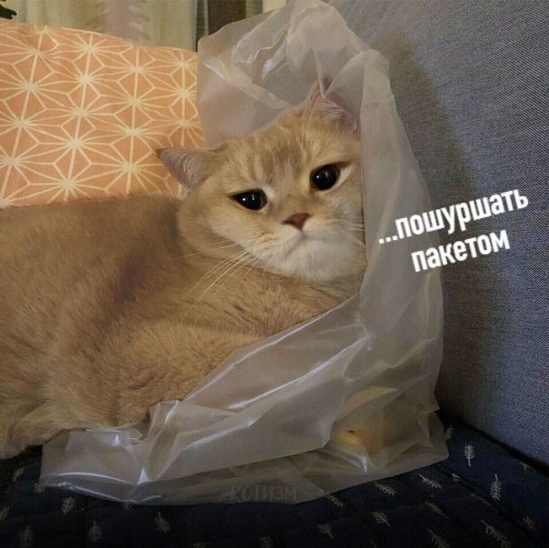 3 ���� ���� ����� ����� ��������� ������� - 6