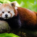 ���� �������, �������, 44 ���� - ��������� 26 ������� 2022 � ������ ���� ����������