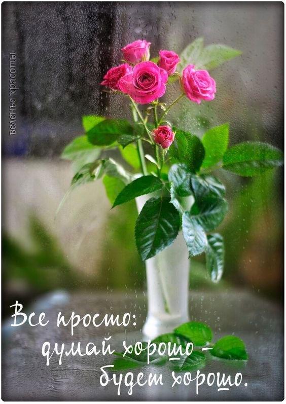   - 18  2022  06:57