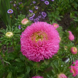 �����, ������, 64 ����