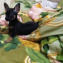 ���� �������, �������, 62 ���� - ��������� 26 ������� 2022 � ������ ���� ����������