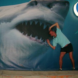 ������, ������ ��������