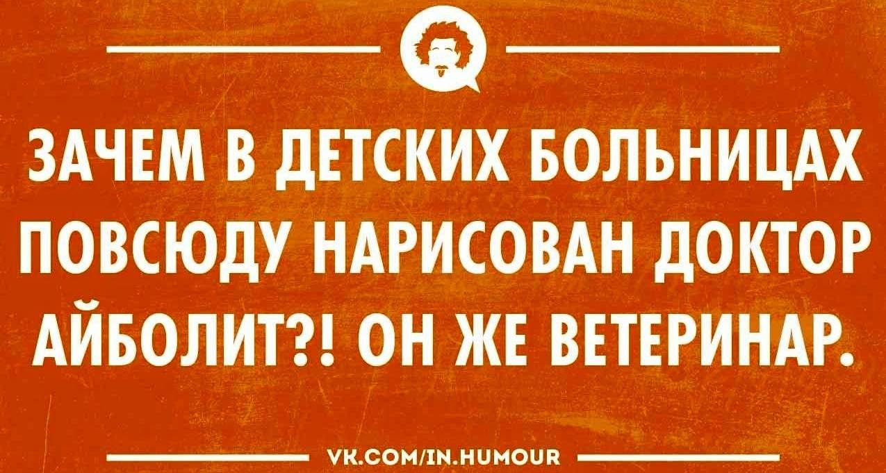     .       ,   : ... - 6