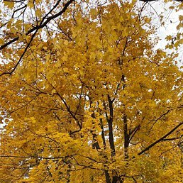 ���� �����, �����-���������, 45 ��� - ��������� 14 ������� 2023