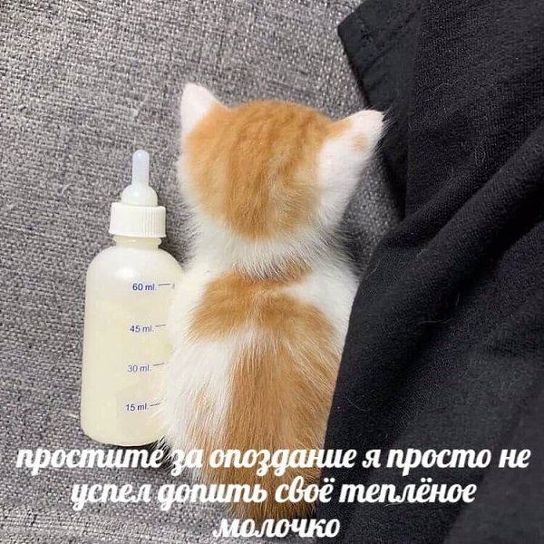 ��� �������� �������� - 21 �������� 2022 � 14:33