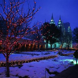 �������, ������, 69 ���