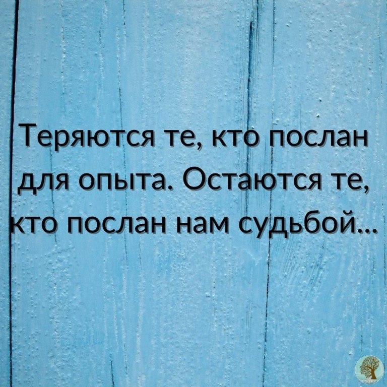  - 8  2022  23:29