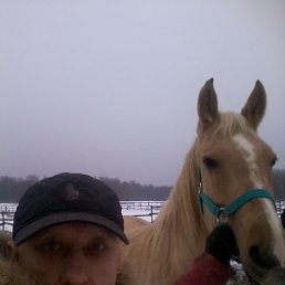 �������, ������, 49 ���