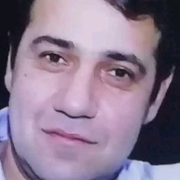 ����, �����-���������, 44 ����