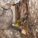  ***L***,   -  3  2022    24-25  2022 .