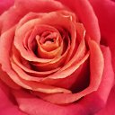 ���� �������, ��� - ��������� 4 ������� 2022 � ������ ���� ����������