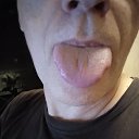  , , 61  -  18  2022